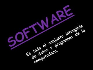 SOFTWAREEs todo el conjunto intangible de datos y programas de la computadora.