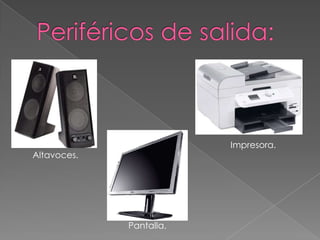 Altavoces.
Impresora.
Pantalla.
 