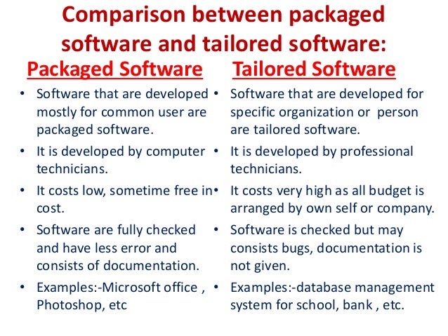 Software System
