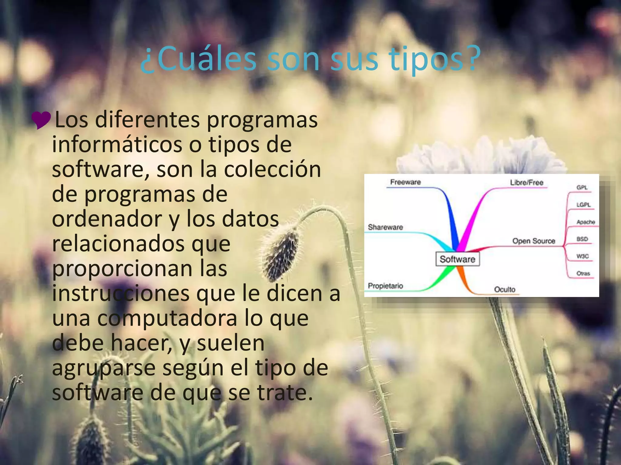 ¿Cuáles son sus tipos?
Los diferentes programas
informáticos o tipos de
software, son la colección
de programas de
ordenador y los datos
relacionados que
proporcionan las
instrucciones que le dicen a
una computadora lo que
debe hacer, y suelen
agruparse según el tipo de
software de que se trate.
 