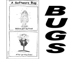 Software Bugs Slide 1