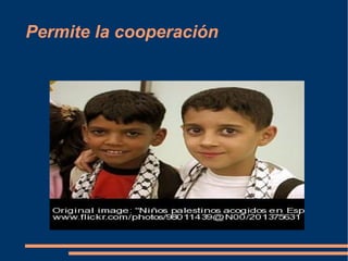 Permite la cooperación 