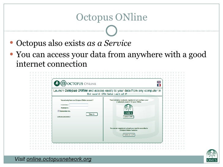 octopus microfinance