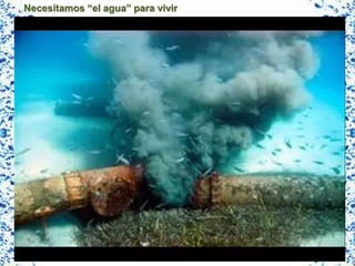 Necesitamos “el agua” para vivir
 
