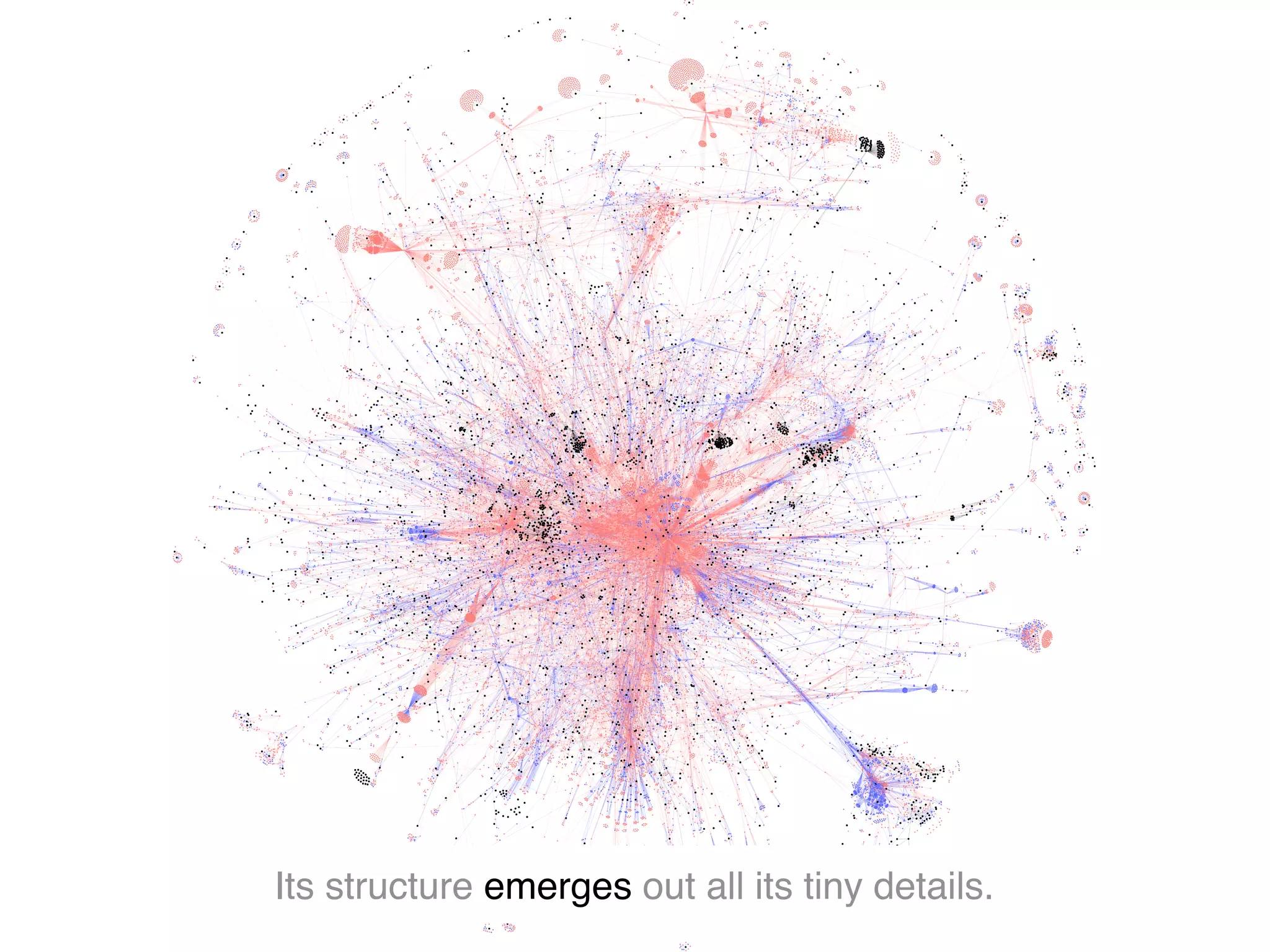 Its structure emerges out all its tiny details.
 