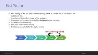 Software-Testing.pdf