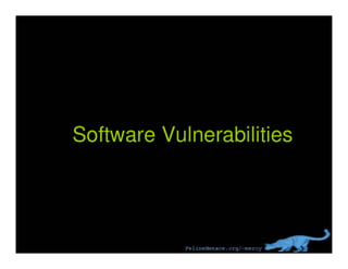 Software Vulnerabilities