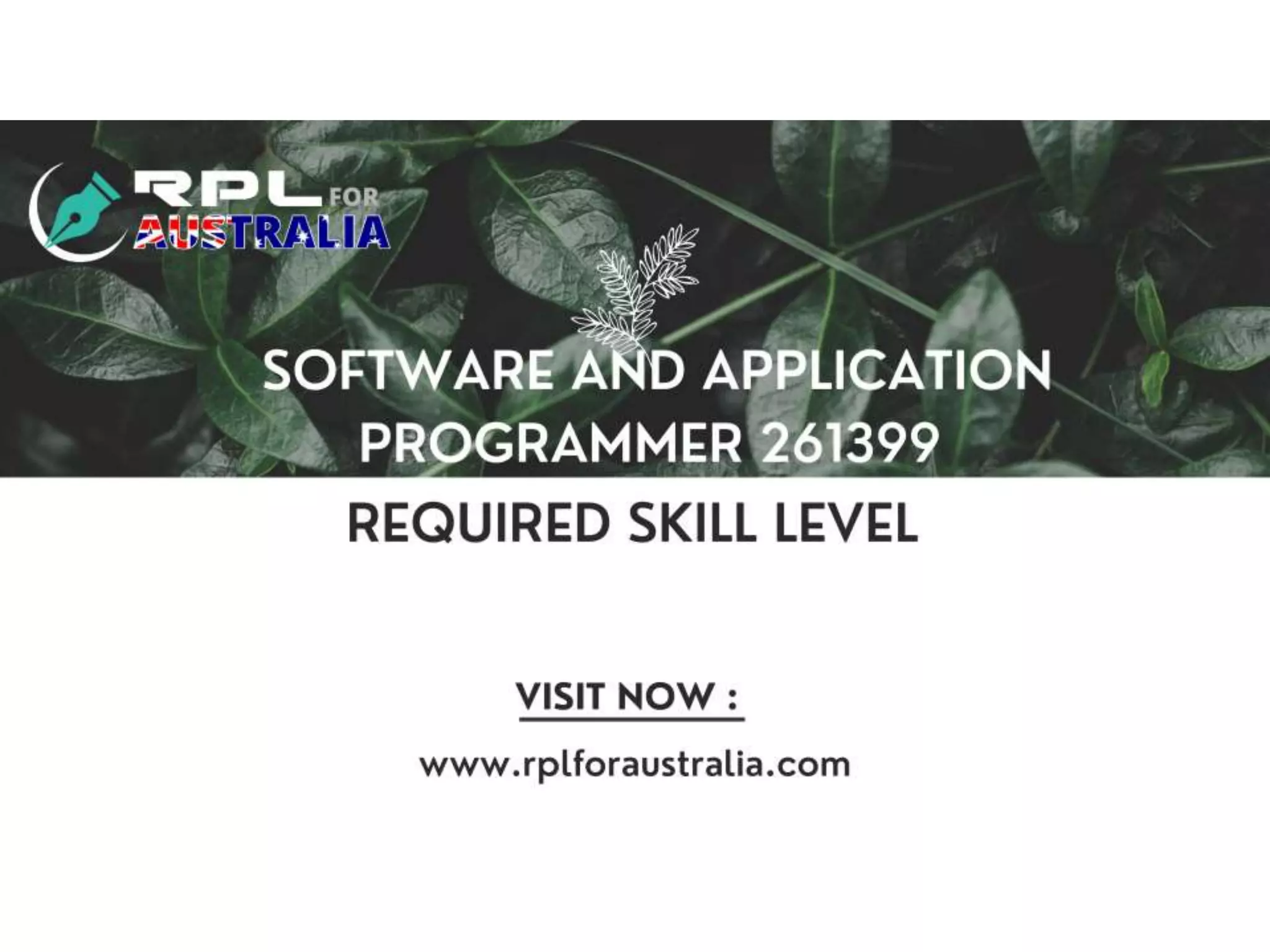 Software and Application Programmer 261399 Required Skill Level.pptx