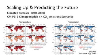 Scaling	Up	&	Predicting	the	Future
IPCC AR5
Warszawski et al. PNAS
Temperature Precipitation
Climate	Forecasts	(2040-2050) 
CMIP5:	5	Climate	models	x	4	CO2
	emissions	Scenarios
10
 