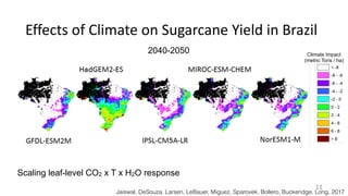 Effects	of	Climate	on	Sugarcane	Yield	in	Brazil
2040-2050 Climate Impact
(metric Tons / ha)
Jaiswal, DeSouza, Larsen, LeBauer, Miguez, Sparovek, Bollero, Buckeridge, Long, 2017
Scaling leaf-level CO2 x T x H2O response
11
 