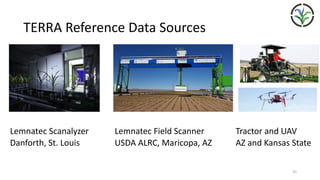 TERRA	Reference	Data	Sources
Lemnatec	Scanalyzer	
Danforth,	St.	Louis
Lemnatec	Field	Scanner	
USDA	ALRC,	Maricopa,	AZ
Tractor	and	UAV	
AZ	and	Kansas	State
31
 