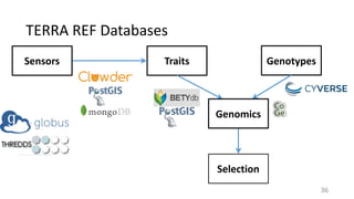TERRA	REF	Databases
Sensors Traits Genotypes
Selection
Genomics
36
 