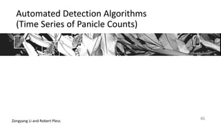 Automated	Detection	Algorithms		
(Time	Series	of	Panicle	Counts)
Zongyang	Li	and	Robert	Pless
46
 