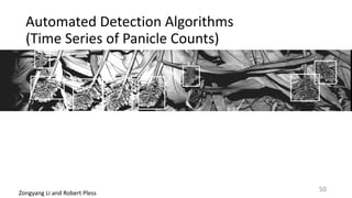 Automated	Detection	Algorithms		
(Time	Series	of	Panicle	Counts)
Zongyang	Li	and	Robert	Pless
50
 