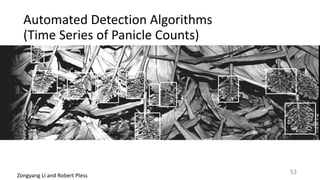 Automated	Detection	Algorithms		
(Time	Series	of	Panicle	Counts)
Zongyang	Li	and	Robert	Pless
53
 