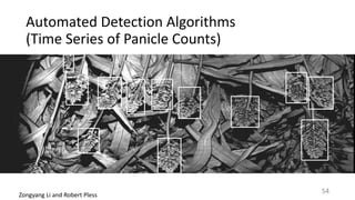 Automated	Detection	Algorithms		
(Time	Series	of	Panicle	Counts)
Zongyang	Li	and	Robert	Pless
54
 