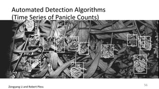 Automated	Detection	Algorithms		
(Time	Series	of	Panicle	Counts)
Zongyang	Li	and	Robert	Pless
56
 