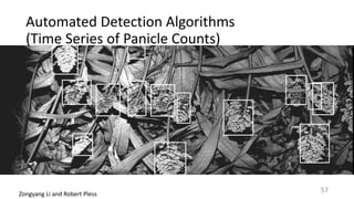 Automated	Detection	Algorithms		
(Time	Series	of	Panicle	Counts)
Zongyang	Li	and	Robert	Pless
57
 