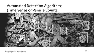 Automated	Detection	Algorithms		
(Time	Series	of	Panicle	Counts)
Zongyang	Li	and	Robert	Pless
58
 