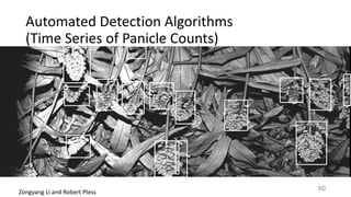 Automated	Detection	Algorithms		
(Time	Series	of	Panicle	Counts)
Zongyang	Li	and	Robert	Pless
60
 