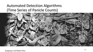 Automated	Detection	Algorithms		
(Time	Series	of	Panicle	Counts)
Zongyang	Li	and	Robert	Pless
63
 