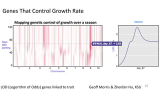 Geoff	Morris	&	Zhenbin	Hu,	KSULOD	(Logorithm	of	Odds)	genes	linked	to	trait	
Genes	That	Control	Growth	Rate
67
 