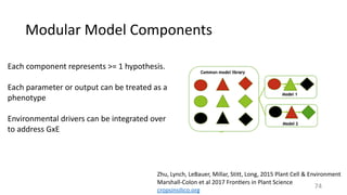 Modular	Model	Components
Zhu,	Lynch,	LeBauer,	Millar,	Stitt,	Long,	2015	Plant	Cell	&	Environment	
Marshall-Colon	et	al	2017	Fronsers	in	Plant	Science	
cropsinsilico.org
Each	component	represents	>=	1	hypothesis.	
Each	parameter	or	output	can	be	treated	as	a	
phenotype	
Environmental	drivers	can	be	integrated	over	
to	address	GxE
74
 