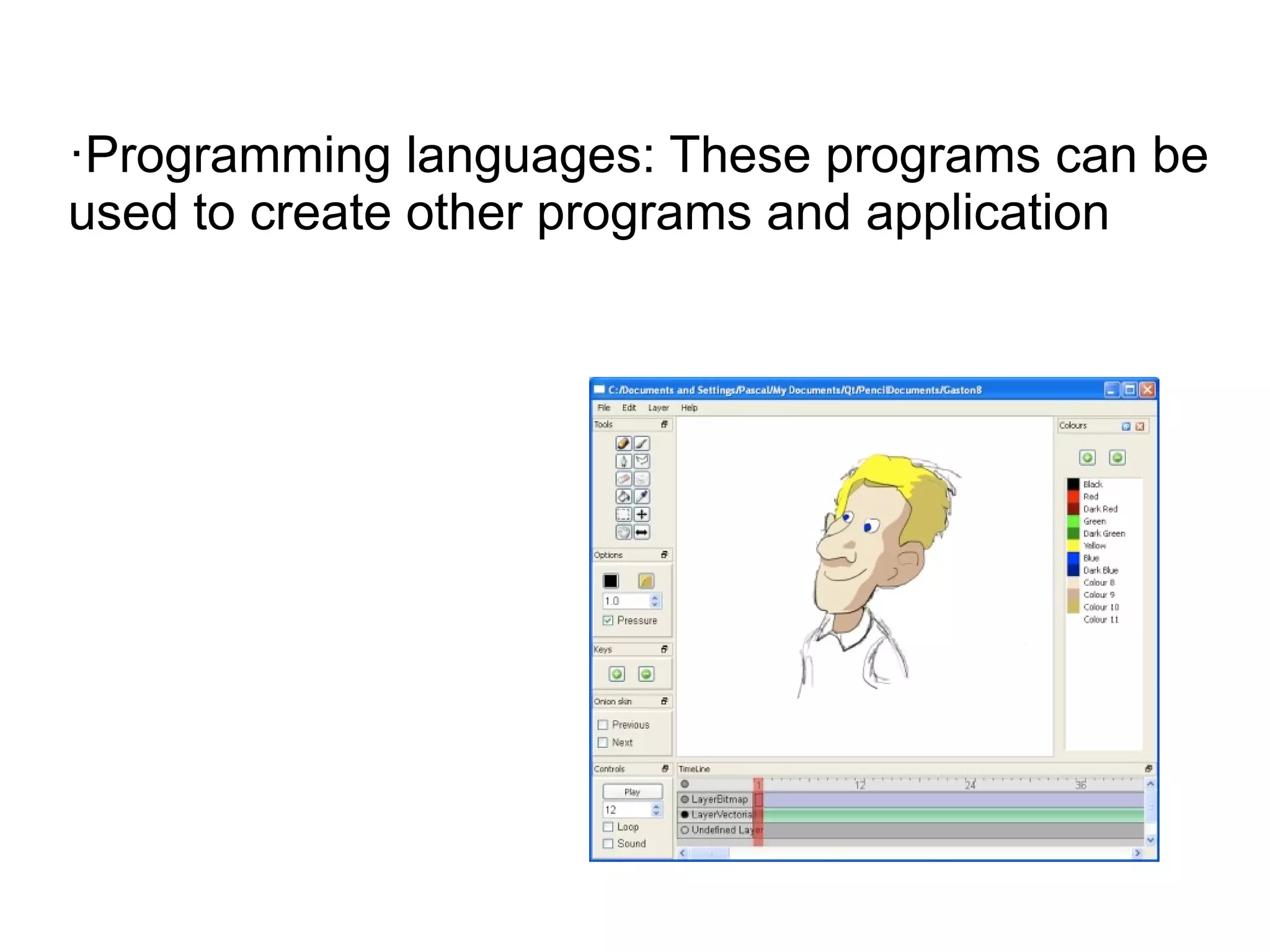 ·Programming languages: These programs can be
used to create other programs and application
 