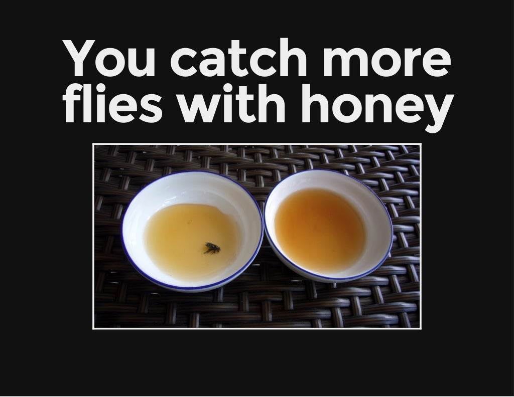 You catch more flies with honey