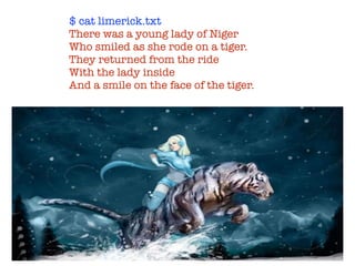$ cat limerick.txt
There was a young lady of Niger
Who smiled as she rode on a tiger.
They returned from the ride
With the lady inside
And a smile on the face of the tiger.
 