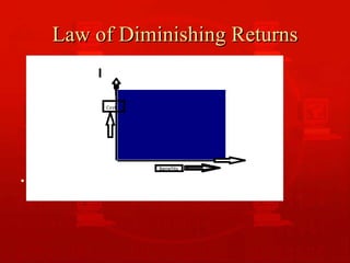 Law of Diminishing Returns benefit 