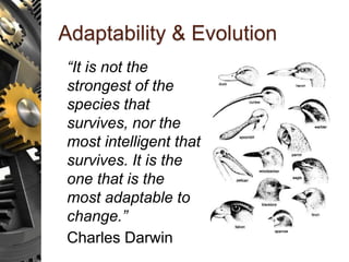 Adaptability & Evolution
“It is not the
strongest of the
species that
survives, nor the
most intelligent that
survives. It is the
one that is the
most adaptable to
change.”
Charles Darwin
 