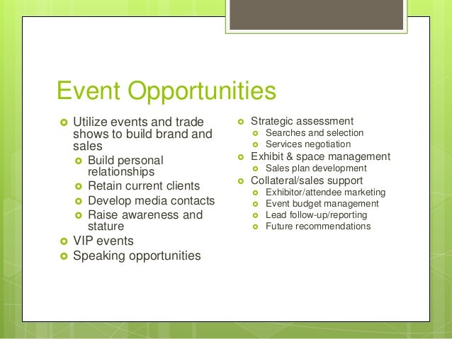 software company marketing plan outline sales plan outline
