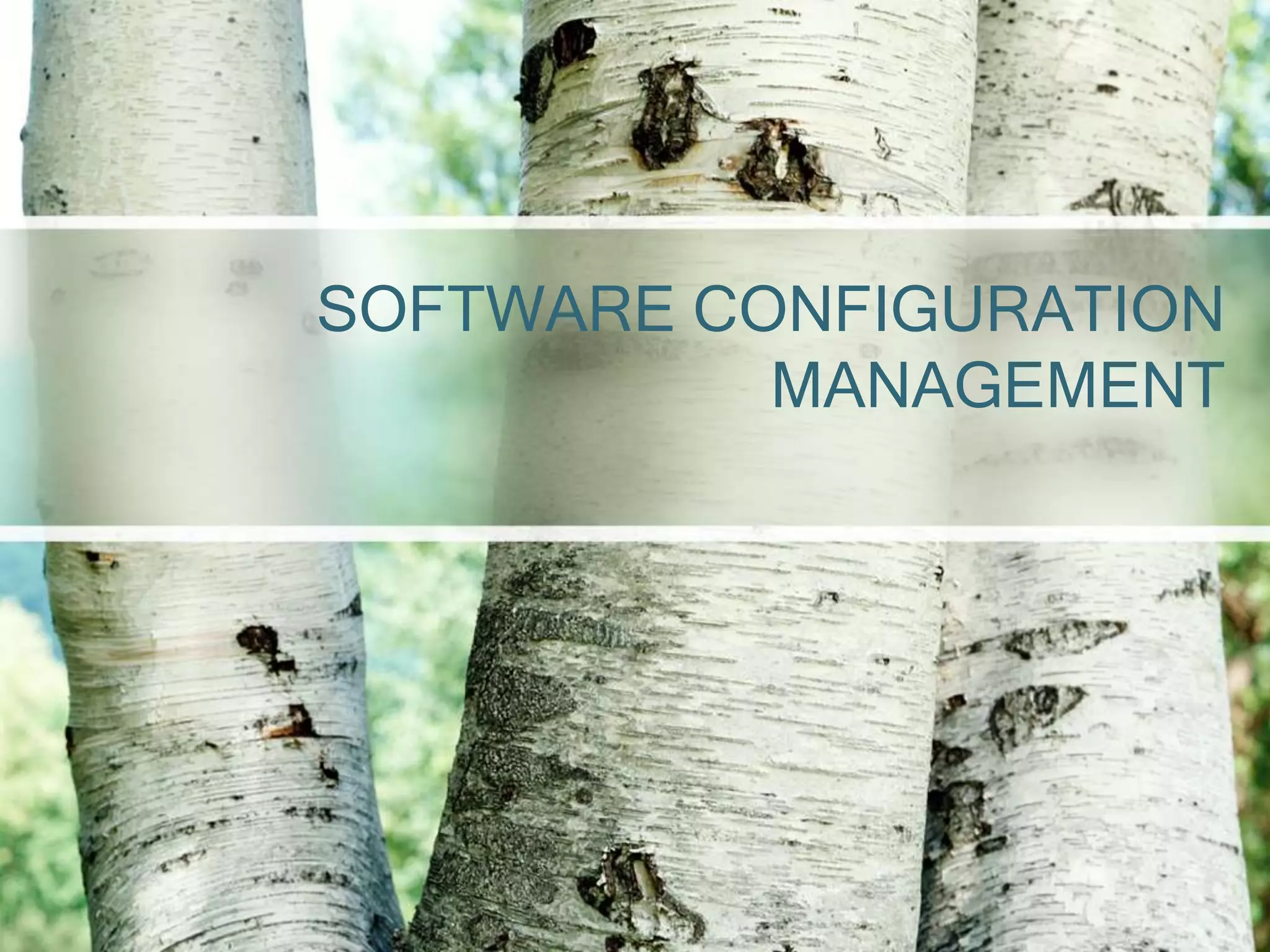 SOFTWARE CONFIGURATION
           MANAGEMENT
 