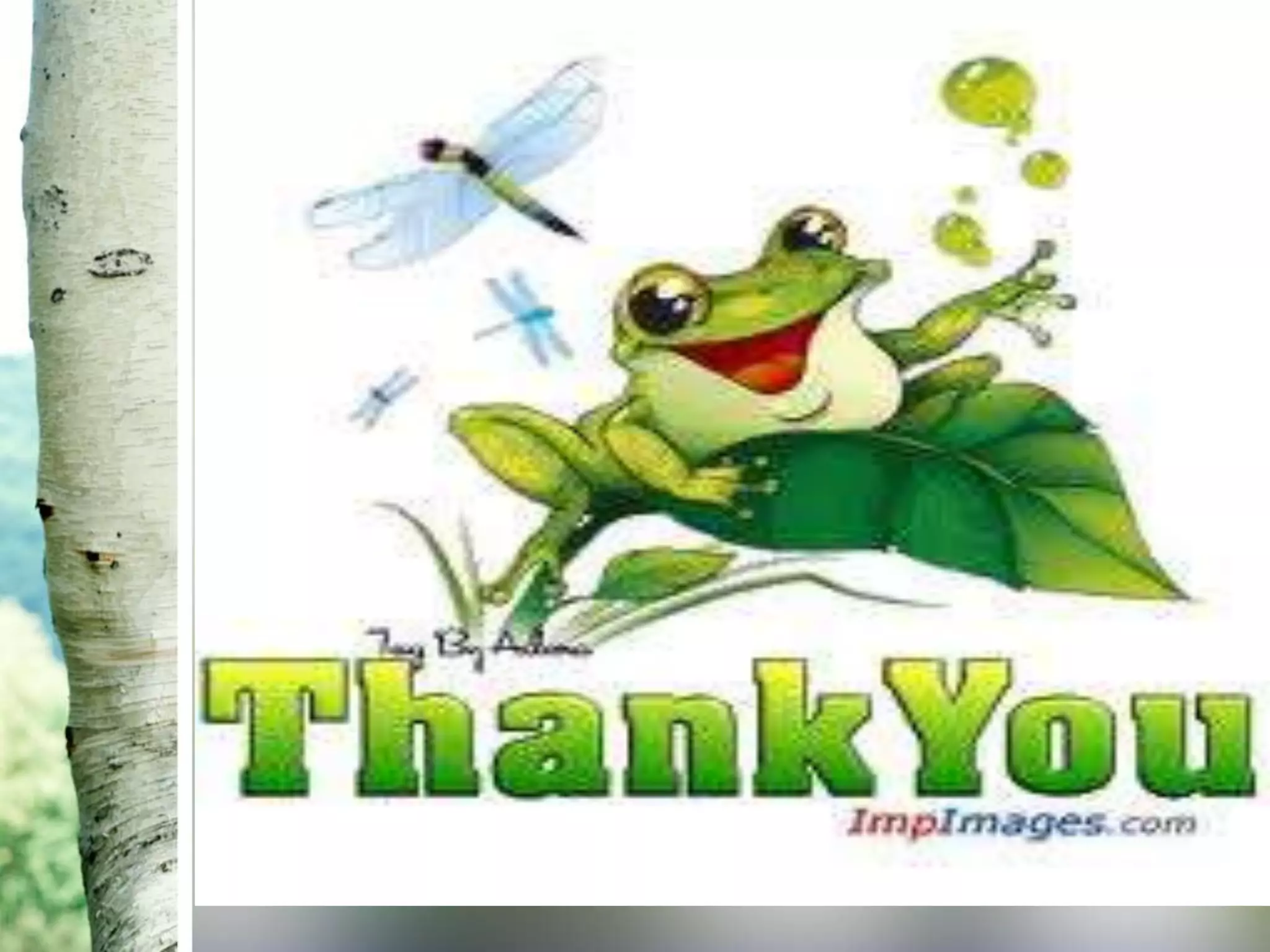 Software configuration management