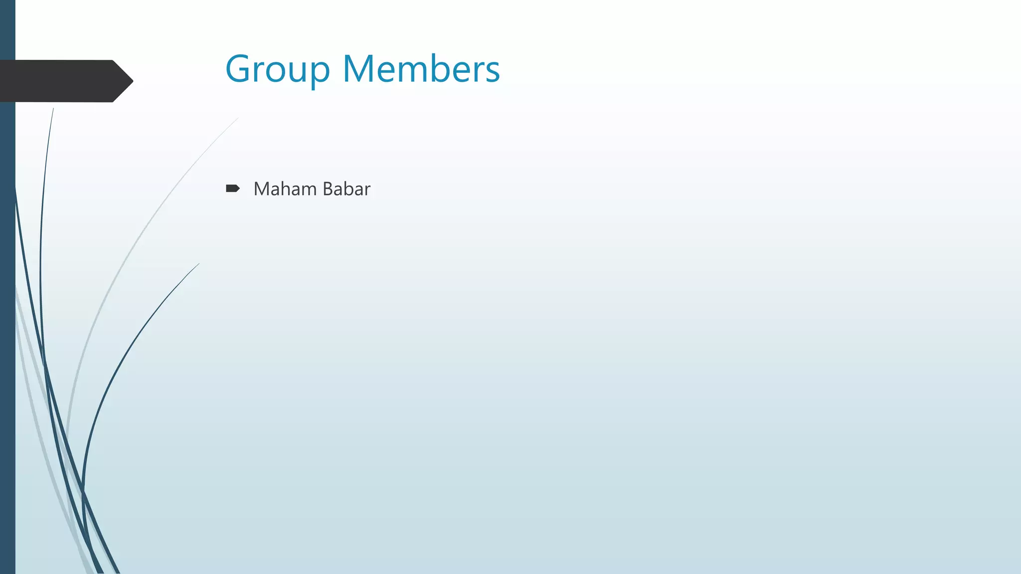 Group Members
 Maham Babar
 