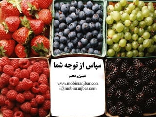 Software Cost Estimation Methods:A Review - Persian