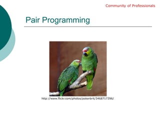 Pair ProgrammingCommunity of Professionalshttp://www.flickr.com/photos/pokerbrit/3468717396/