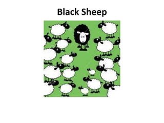 Black Sheep
 