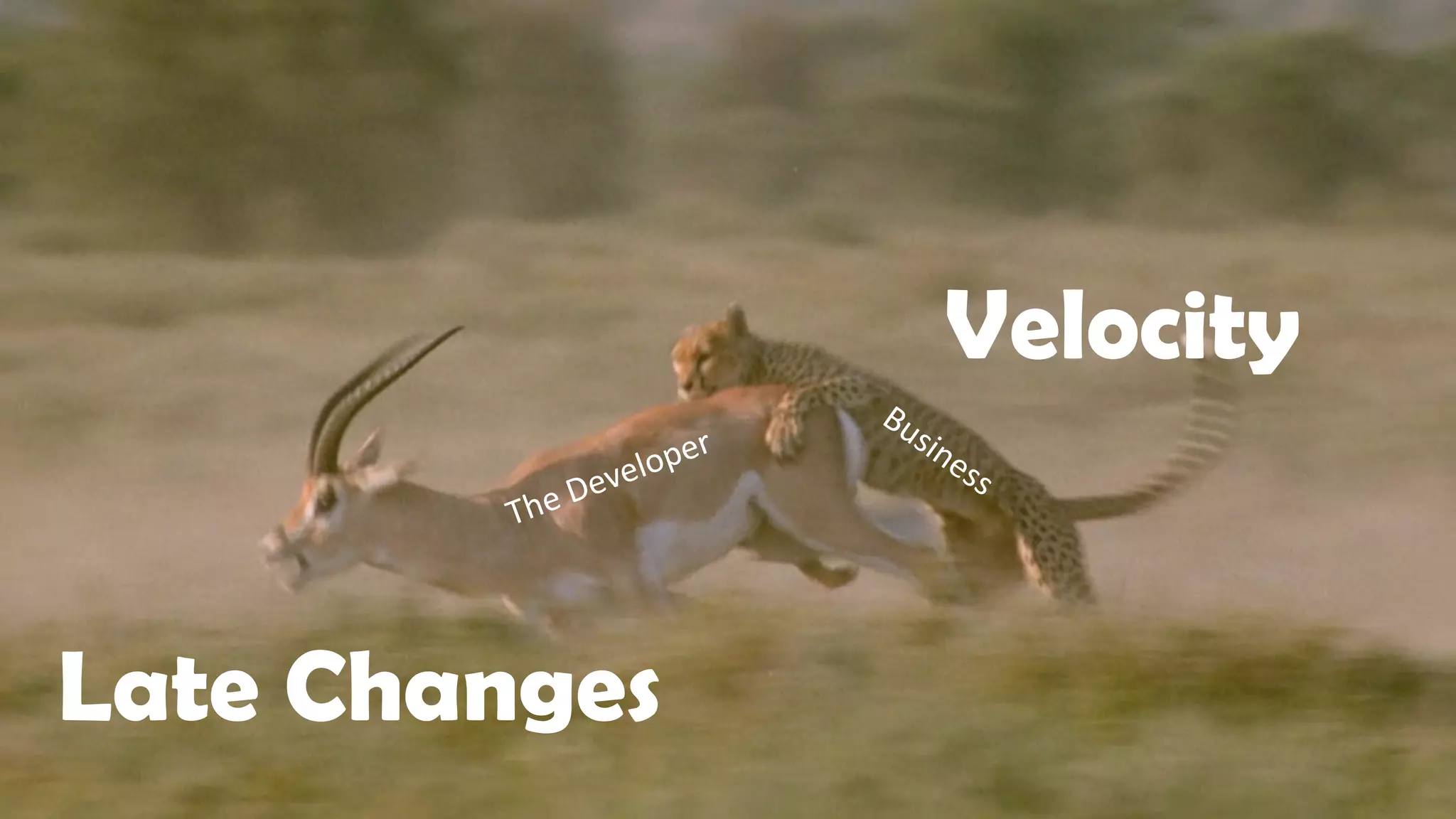 Velocity
Late Changes
The Developer
Business
 