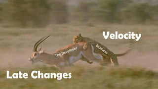 Velocity
Late Changes
The Developer
Business
 