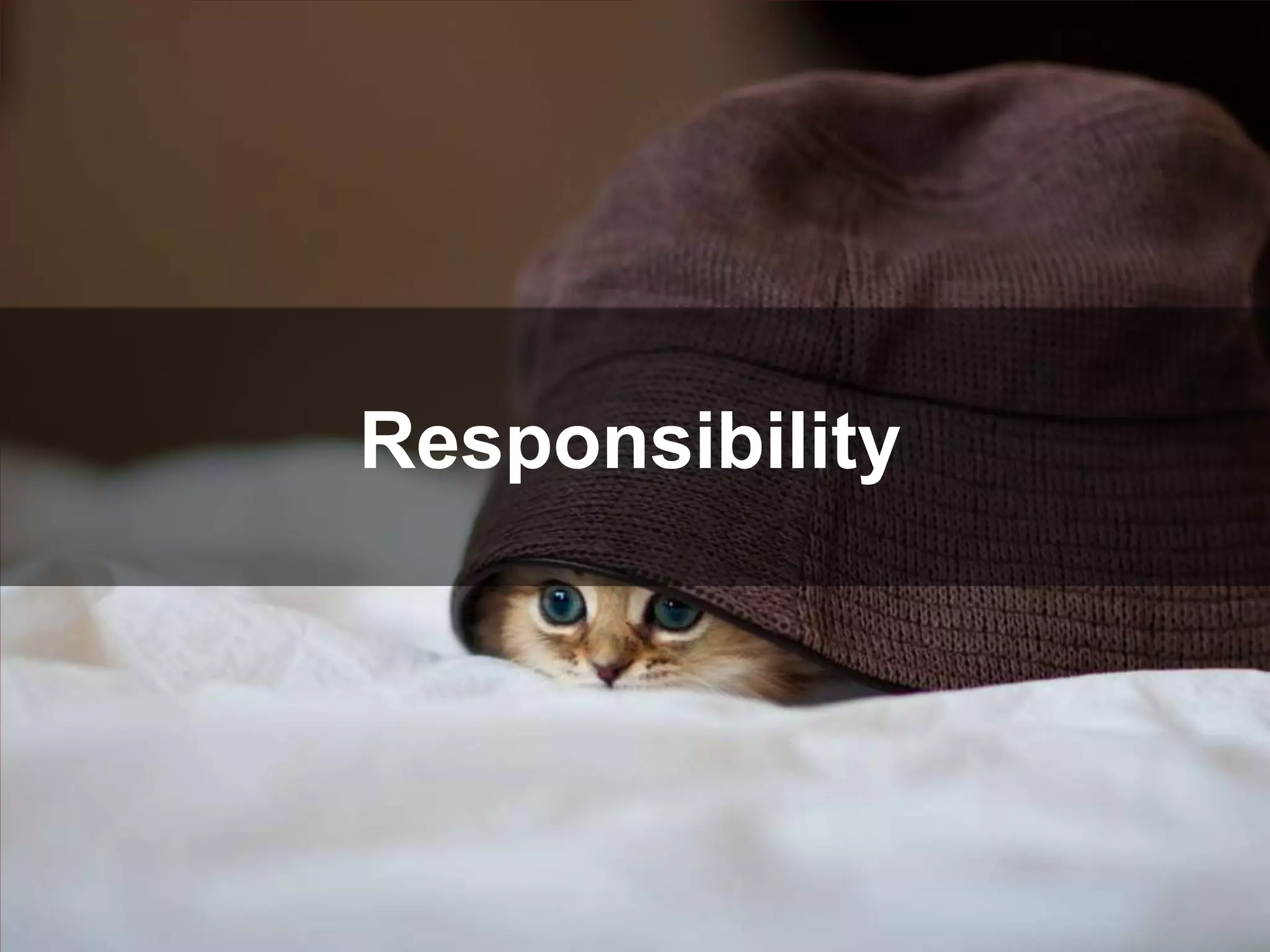 Responsibility
 