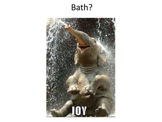 Bath?
 