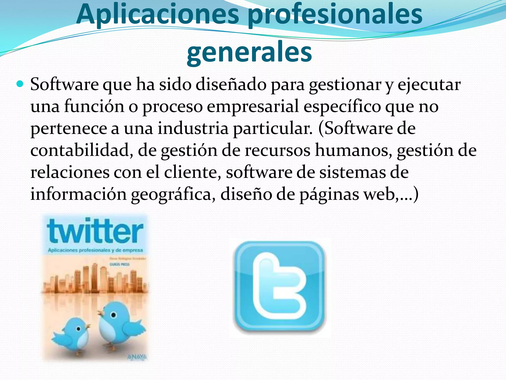 Aplicaciones profesionales generalesSoftware que ha sido diseñado para gestionar y ejecutar una función o proceso empresarial específico que no pertenece a una industria particular. (Software de contabilidad, de gestión de recursos humanos, gestión de relaciones con el cliente, software de sistemas de información geográfica, diseño de páginas web,…)