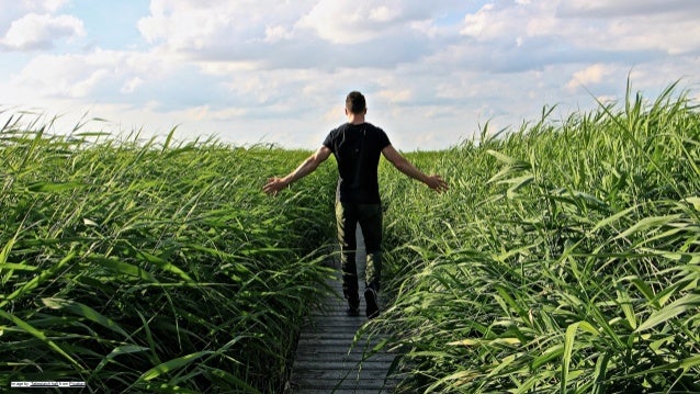 Image by Tabeajaichhalt from Pixabay
 