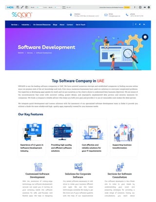 software development company.pdf