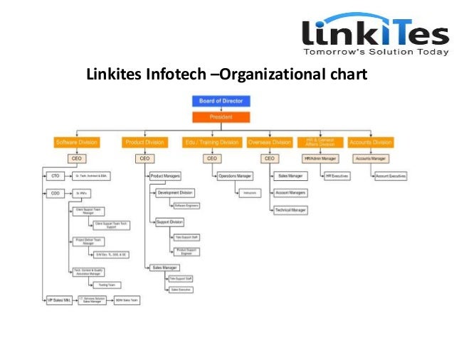 Software Development Company Organizational Chart