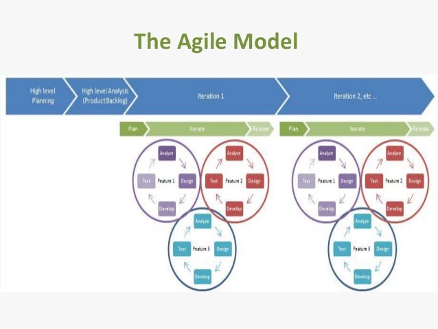 software life cycle