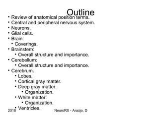 Review of general anatomy of the central nervous system | PPT
