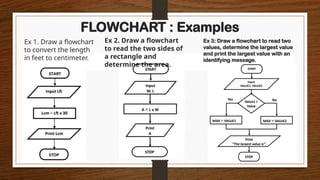 Software Development Technique (Flowchart & Documentation).pptx